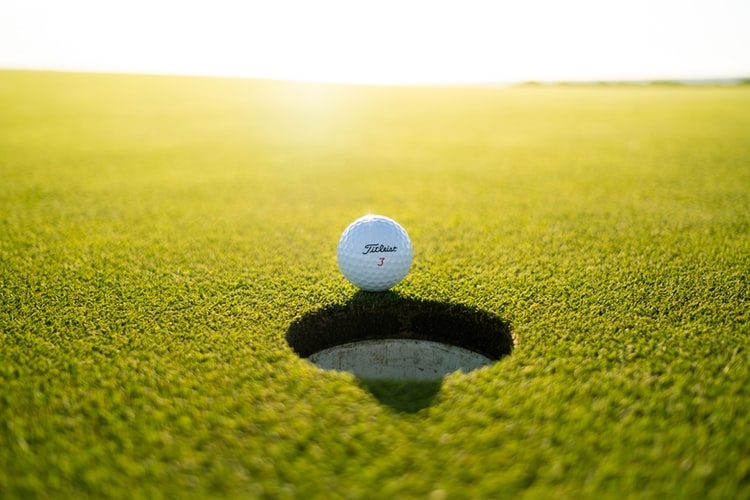Golf's Vietnamese Introduction: Exploring Diverse Golf Course Types