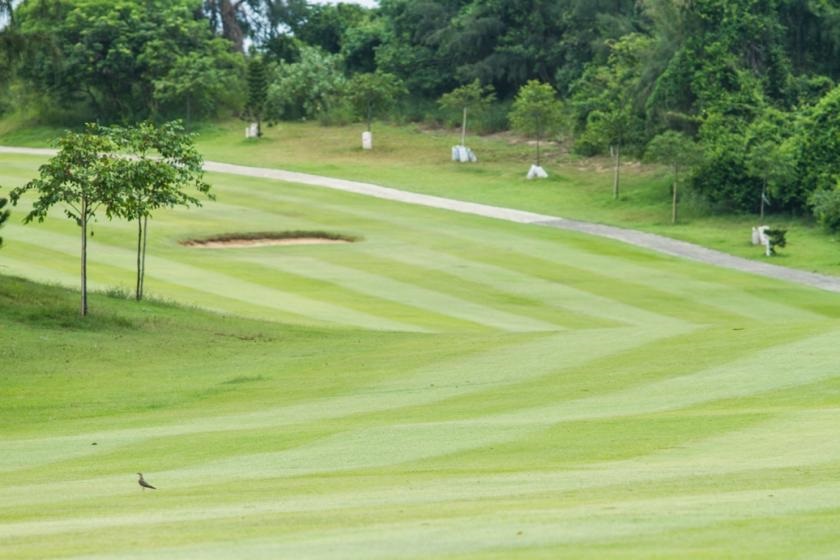 Sân golf Vũng Tàu Paradise