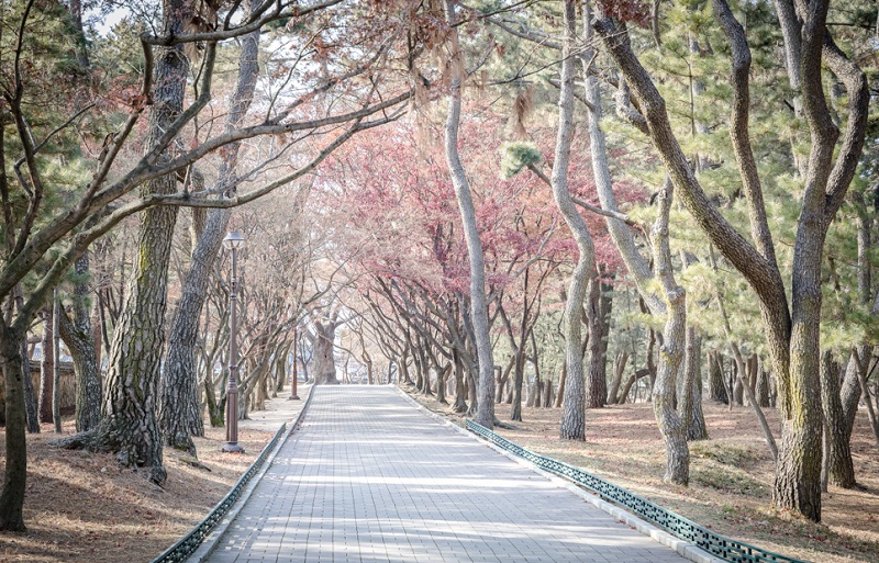 Khu lăng mộ Daereungwon, Gyeongju