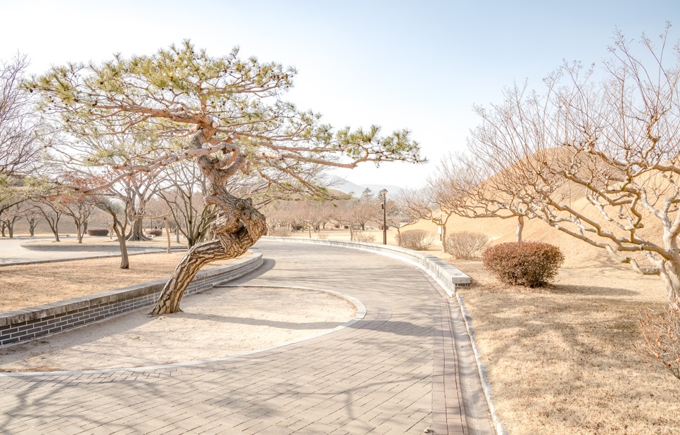 Khu lăng mộ Daereungwon, Gyeongju