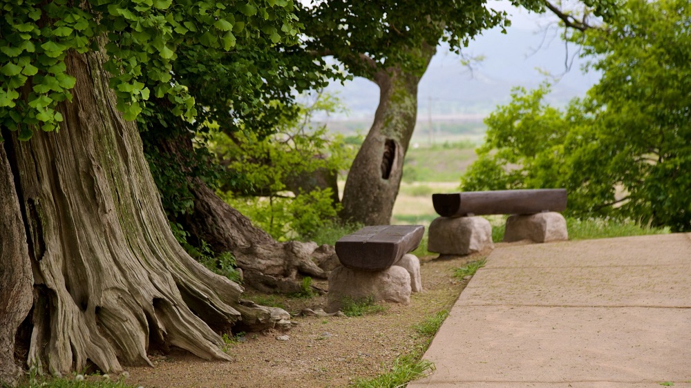 Làng dân gian Yangdong, Gyeongju