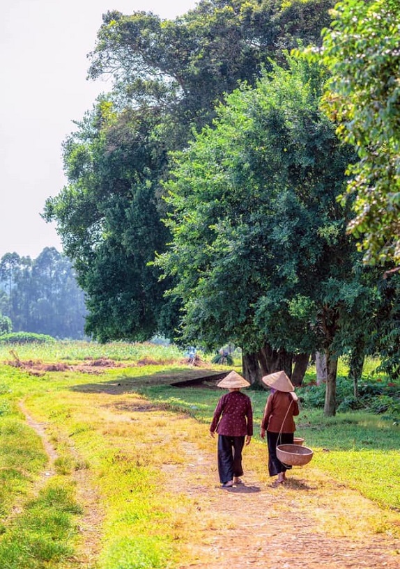 Làng cổ Đường Lâm, Hà Nội