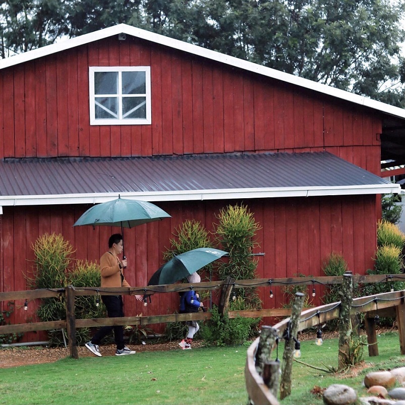 Nông trại Chika Farm