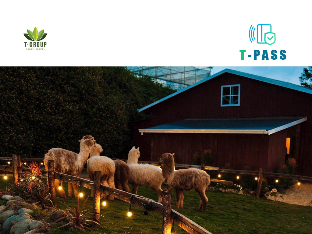 Nông trại Chika Farm