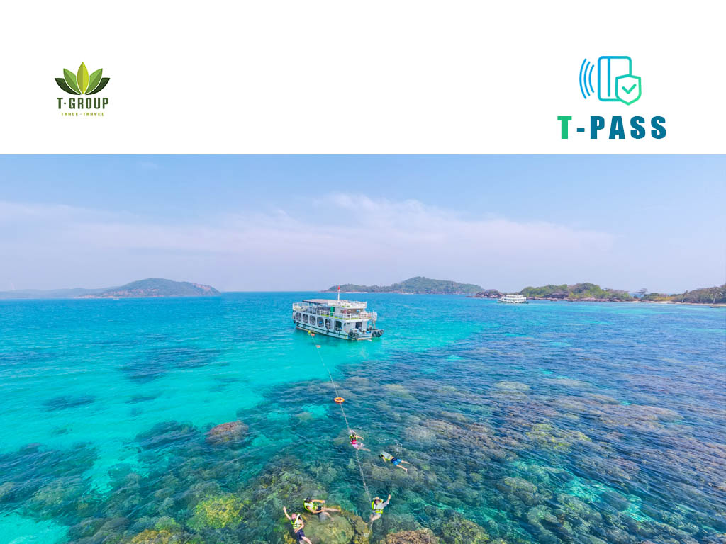 Tour lặn biển Cù Lao Chàm