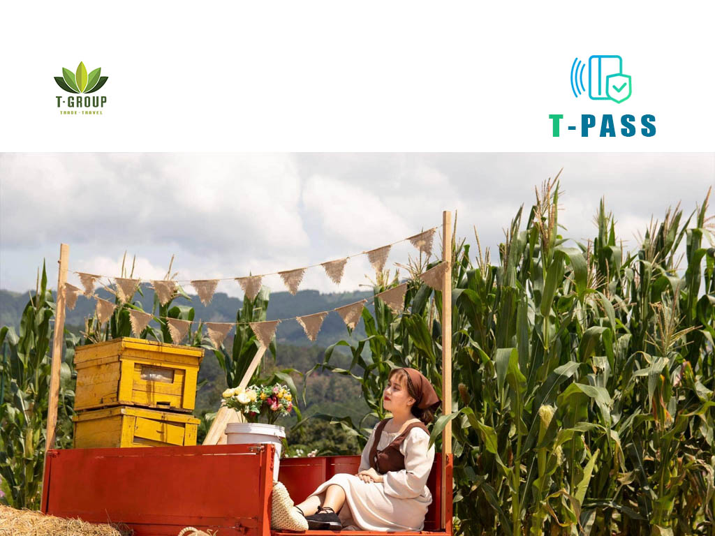 Phim trường 725 Đà Lạt