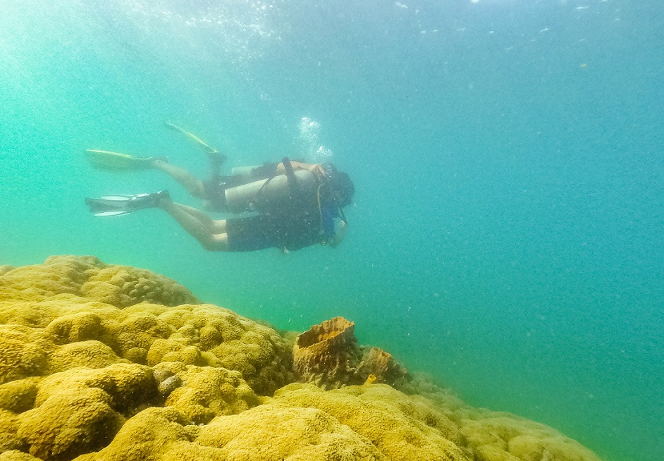 Scuba Diving Phú Quốc - Chinh Phục Độ Sâu Không Trọng Lực