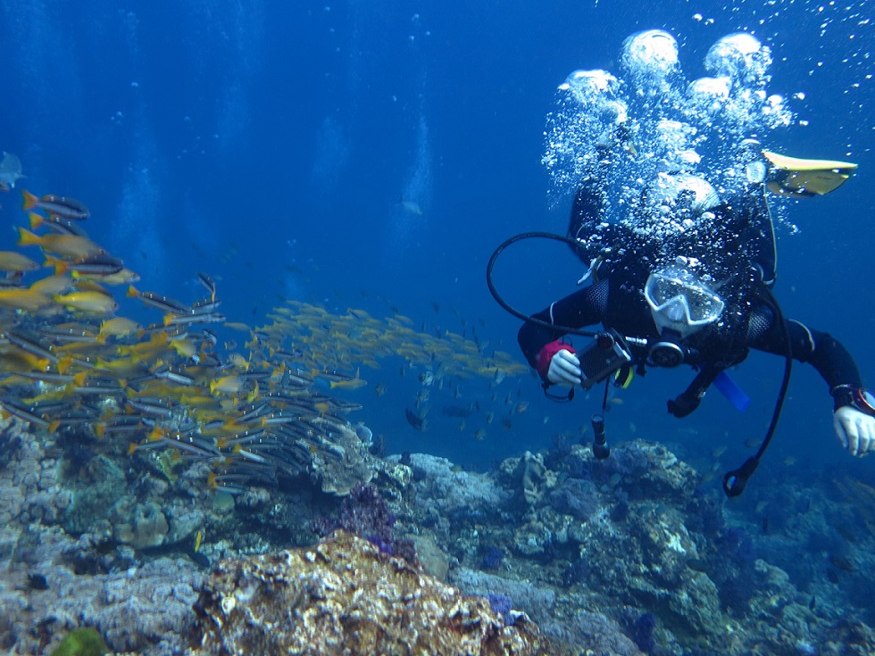 Scuba Diving Phú Quốc - Chinh Phục Độ Sâu Không Trọng Lực