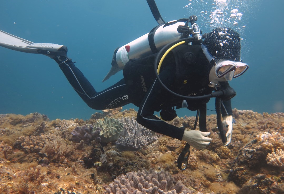 Scuba Diving Phú Quốc - Chinh Phục Độ Sâu Không Trọng Lực