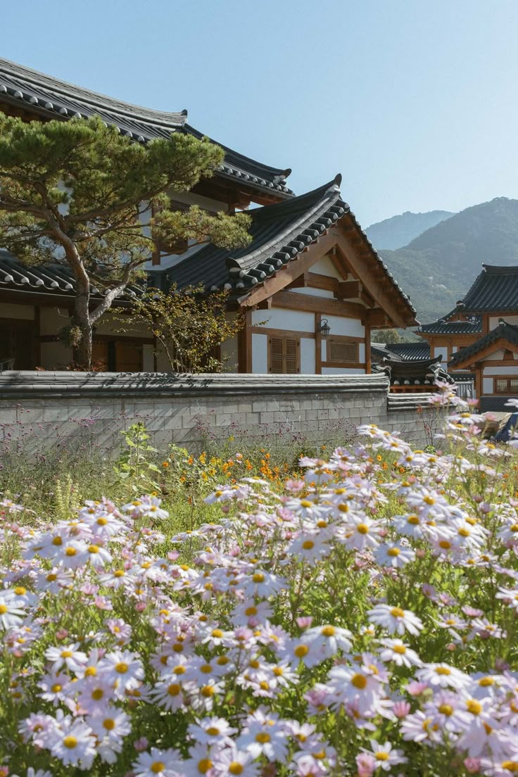 Tour Hàn Quốc Hè 2026