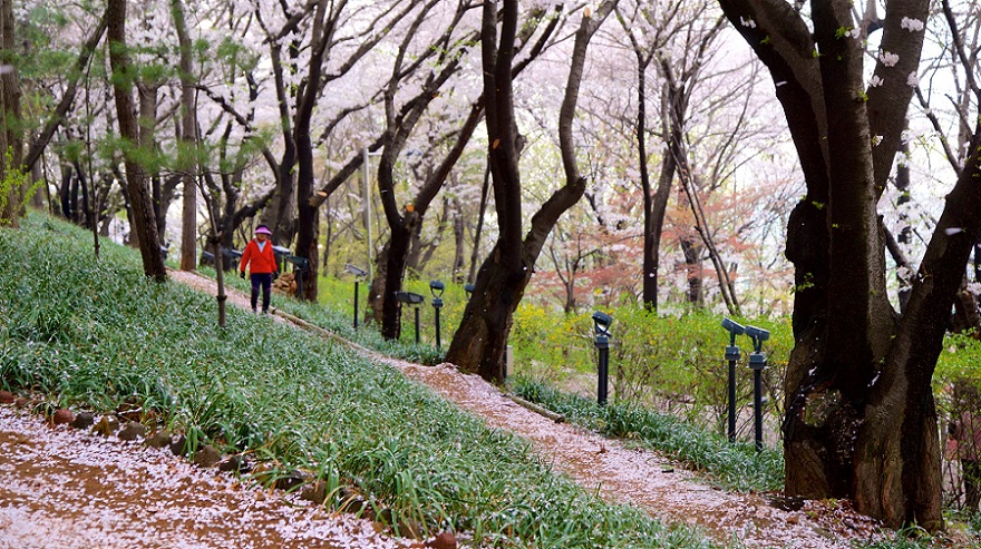 Công viên tự do - Jayu Park, Incheon