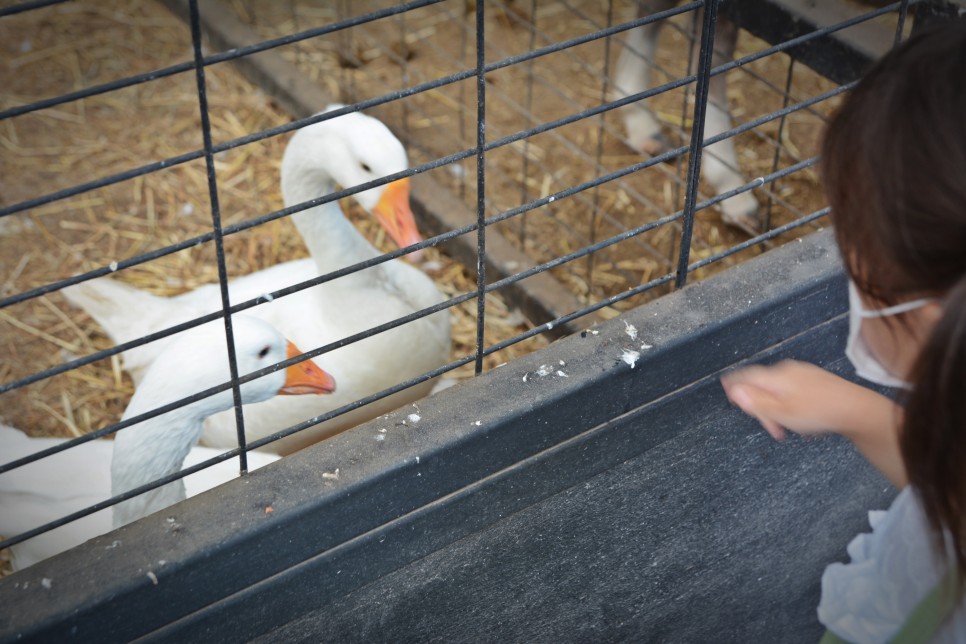 Công viên thiên nhiên Hueree, Jeju