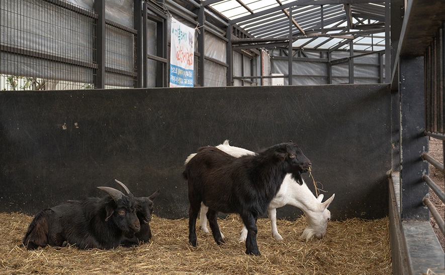 Công viên thiên nhiên Hueree, Jeju