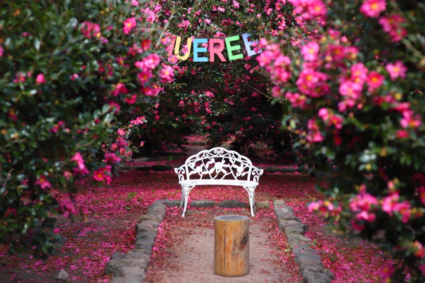 Công viên thiên nhiên Hueree, Jeju