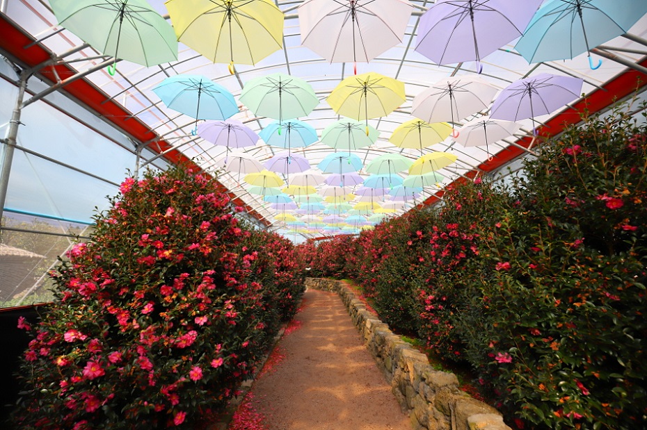 Công viên thiên nhiên Hueree, Jeju