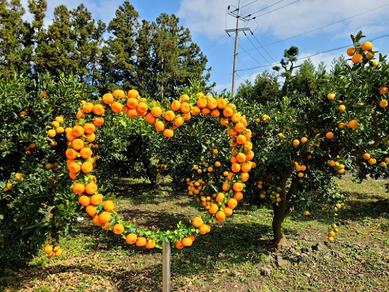 Công viên thiên nhiên Hueree, Jeju