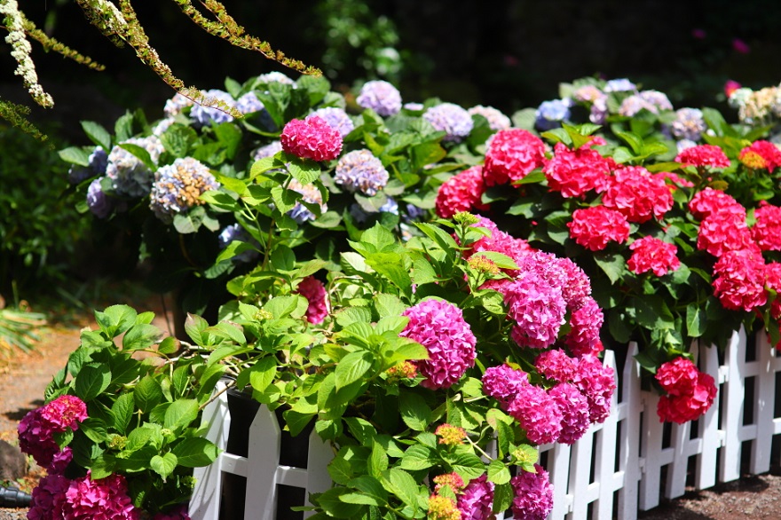 Công viên thiên nhiên Hueree, Jeju