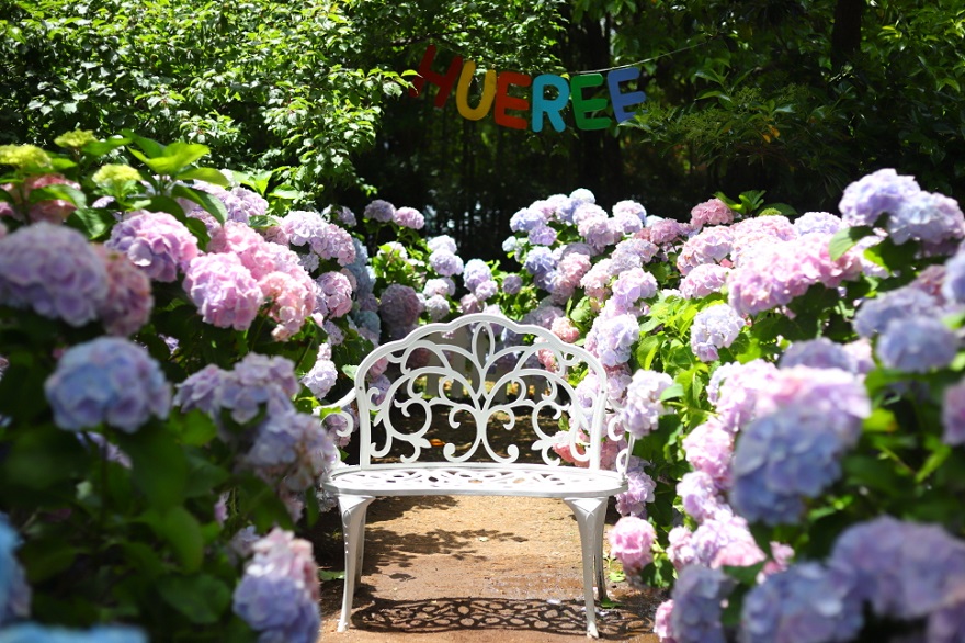 Công viên thiên nhiên Hueree, Jeju