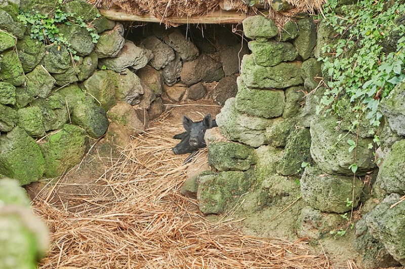 Làng dân gian Jeju