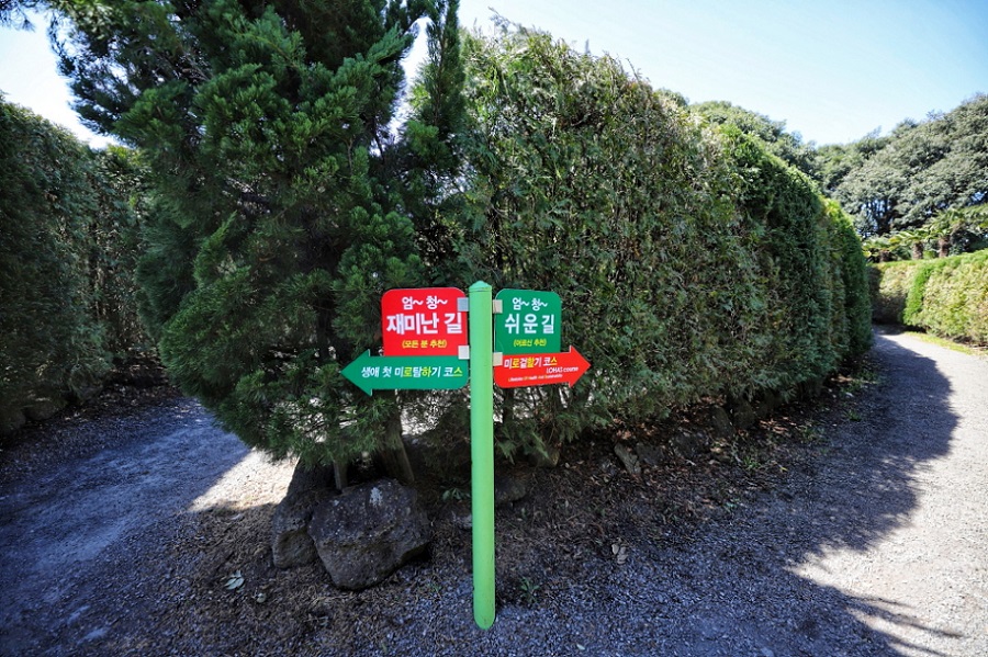 Maze Land - Công viên mê cung, Jeju