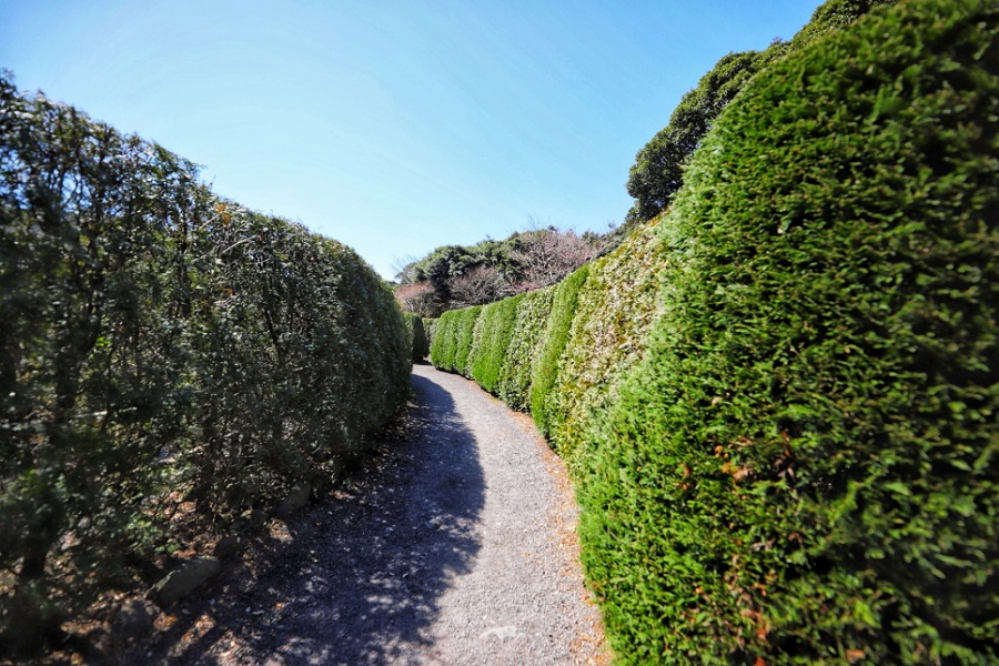 Maze Land - Công viên mê cung, Jeju