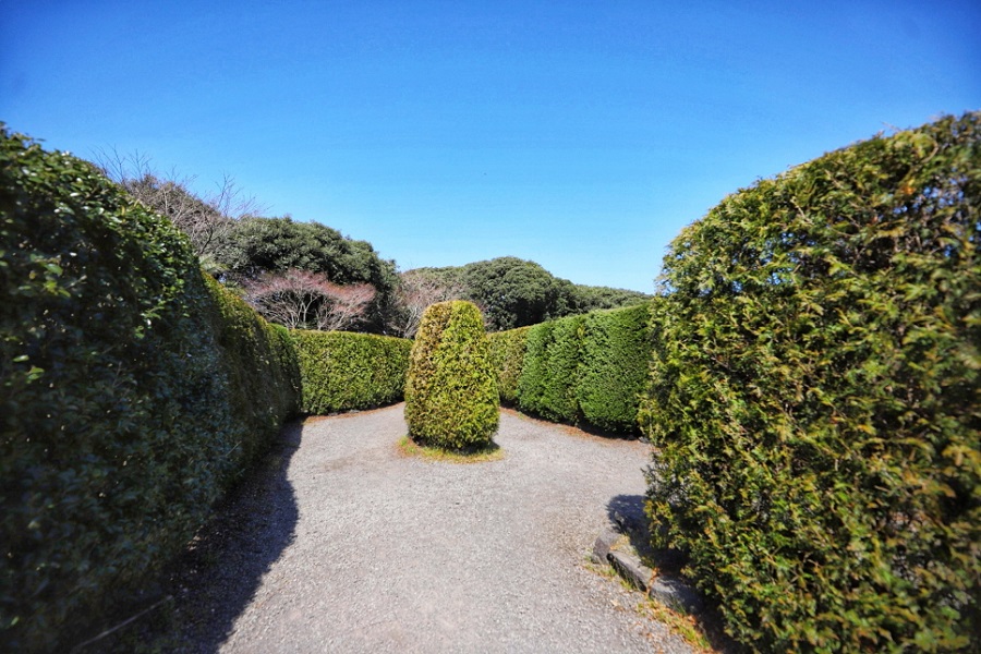Maze Land - Công viên mê cung, Jeju