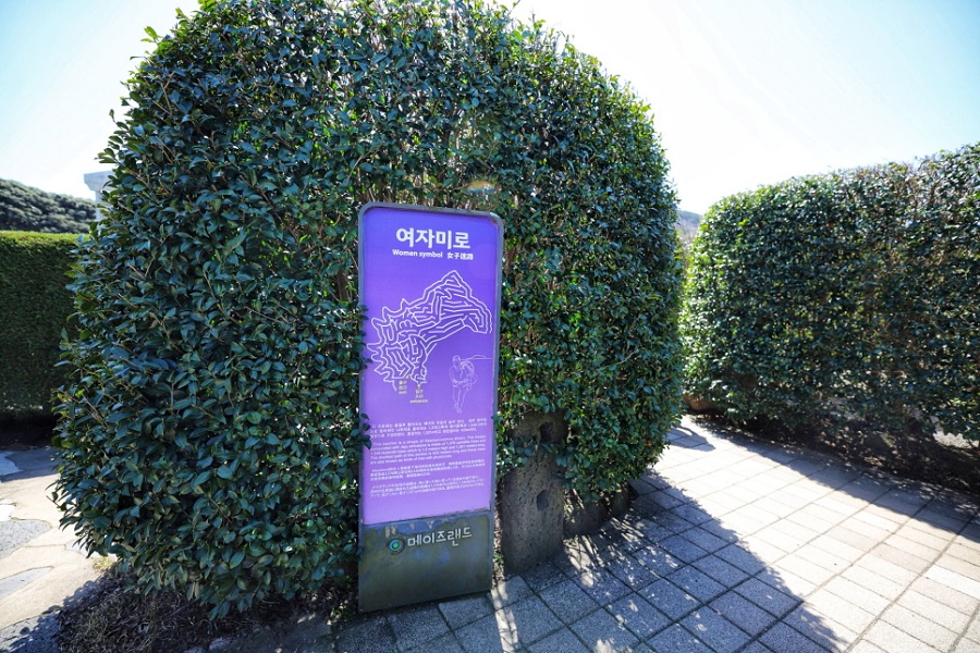 Maze Land - Công viên mê cung, Jeju