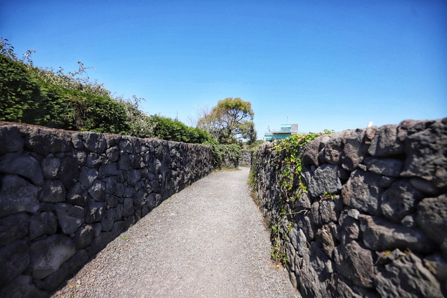 Maze Land - Công viên mê cung, Jeju