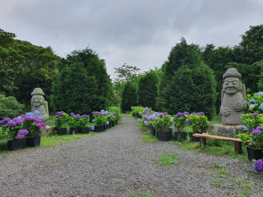 Maze Land - Công viên mê cung, Jeju