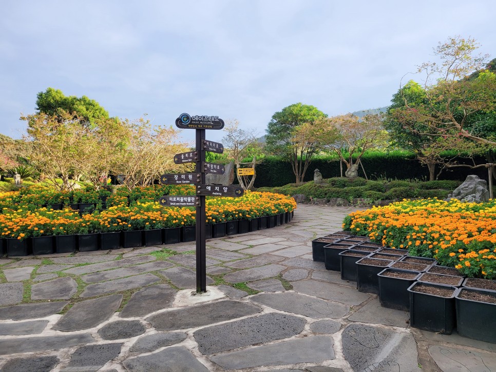 Maze Land - Công viên mê cung, Jeju