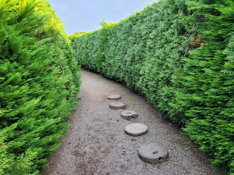 Maze Land - Công viên mê cung, Jeju