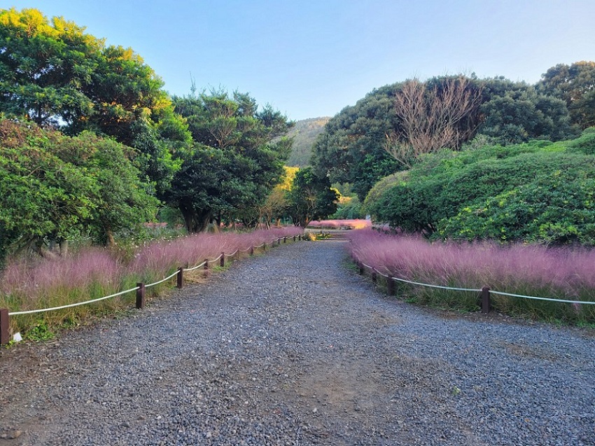 Maze Land - Công viên mê cung, Jeju