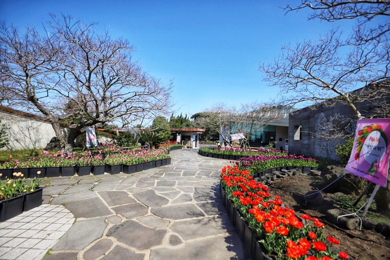Maze Land - Công viên mê cung, Jeju
