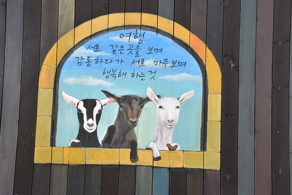 Nông trại dê đen bản địa, Jeju