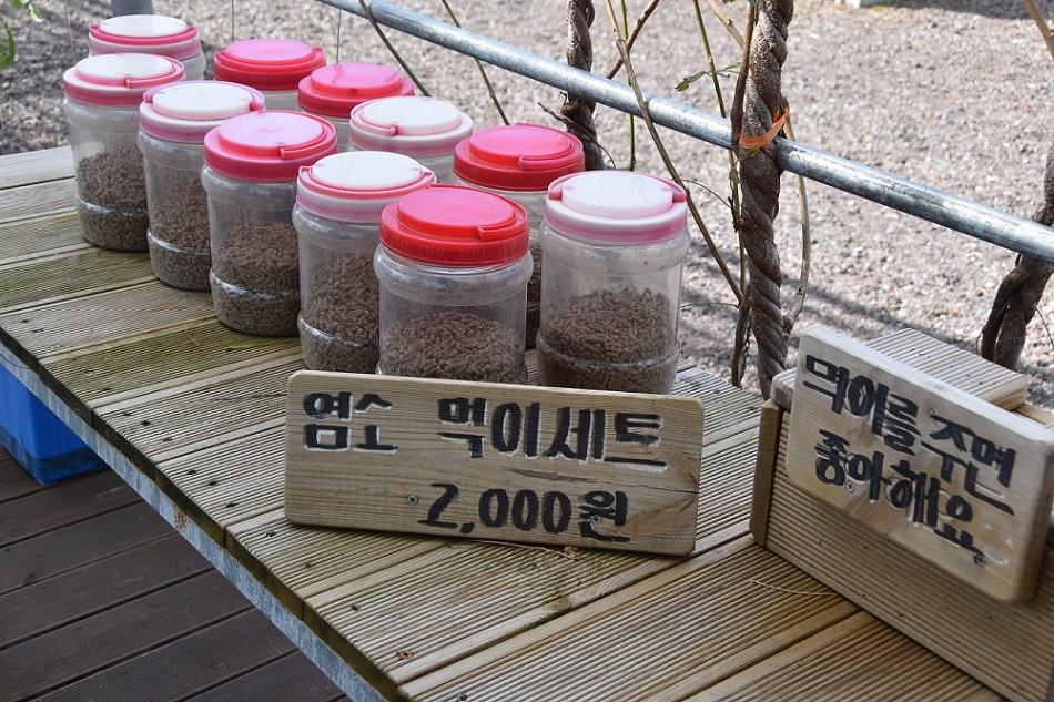 Nông trại dê đen bản địa, Jeju