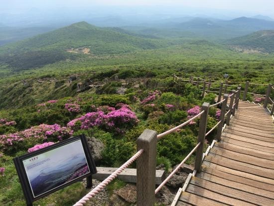 Một ngày trọn vẹn khám phá Nam đảo Jeju