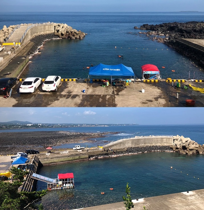 Trải nghiệm lặn biển với Seogwipo Dive Center ở Jeju