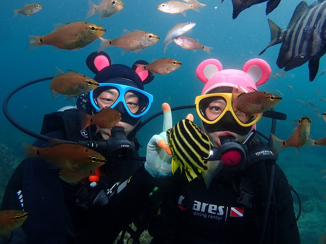 Trải nghiệm lặn biển với Seogwipo Dive Center ở Jeju