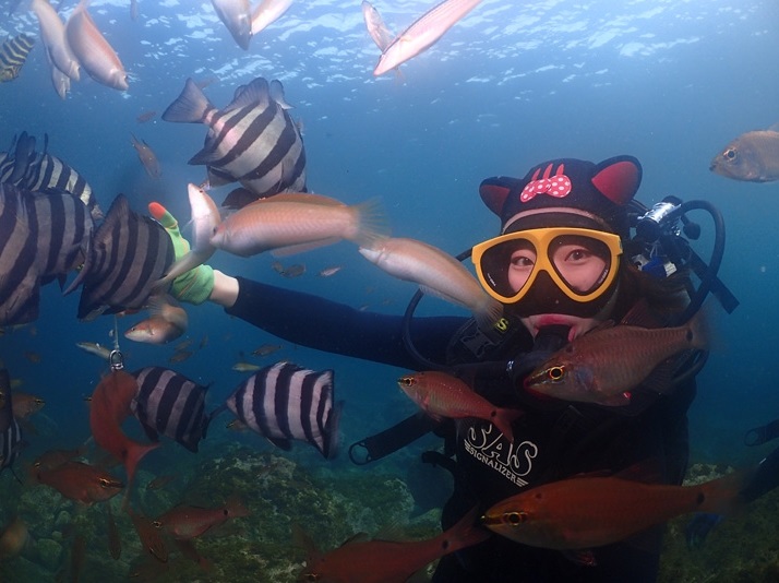 Trải nghiệm lặn biển với Seogwipo Dive Center ở Jeju