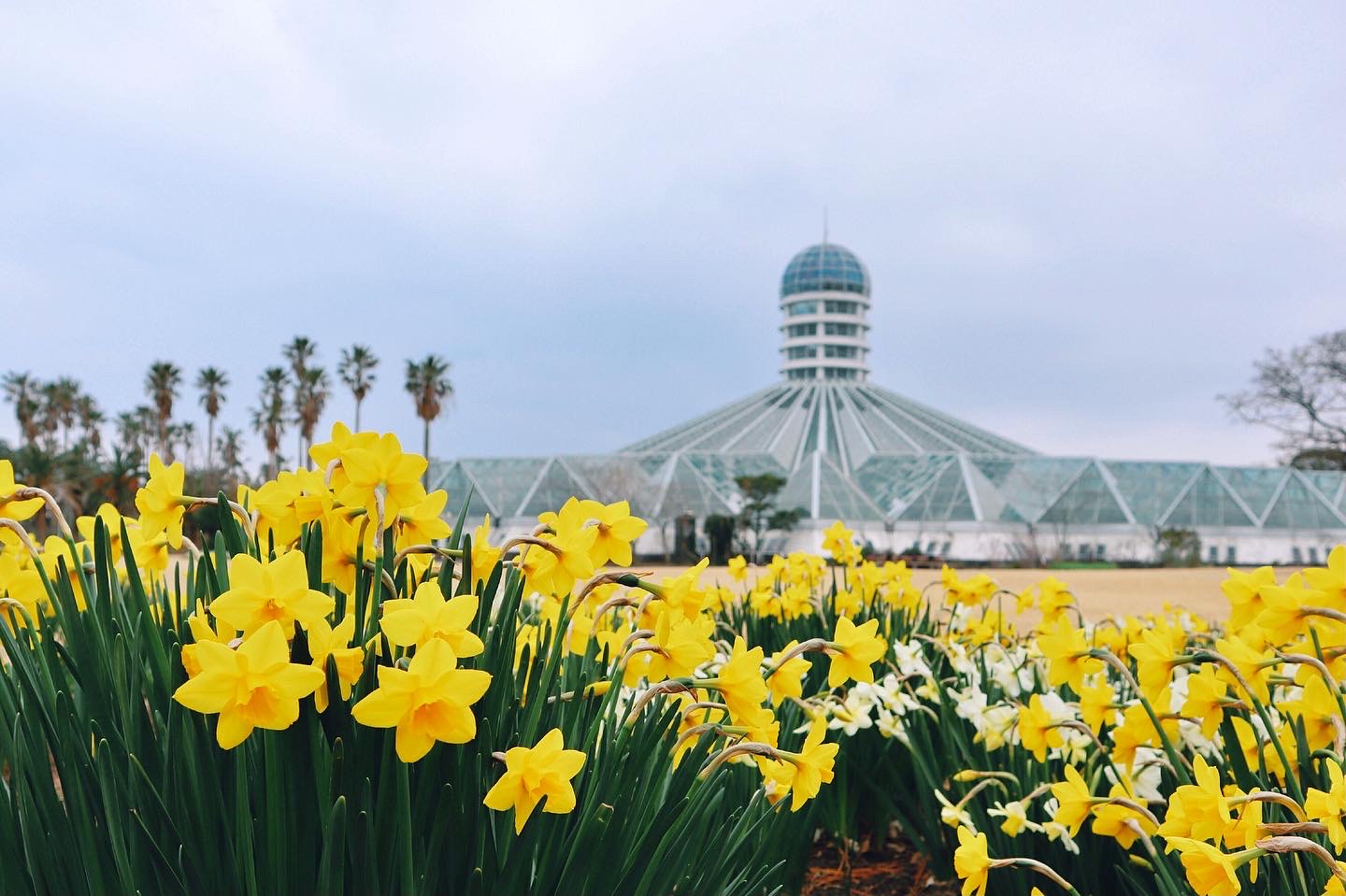 Vườn bách thảo Yeomiji, Jeju