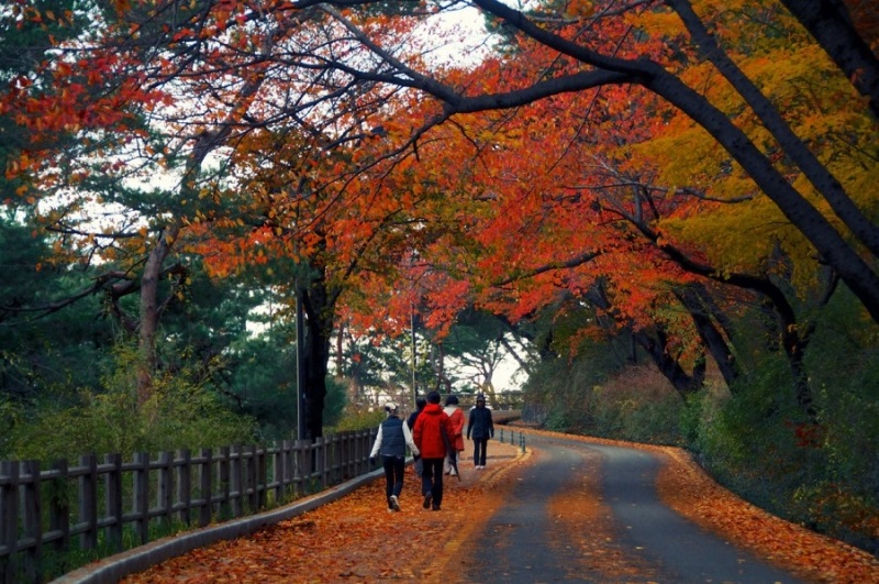 Tour tham quan DMZ Goseong ở  Gangwon-do và công viên quốc gia Seoraksan