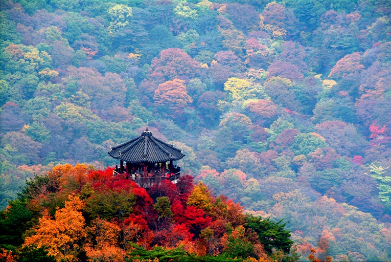 Tour tham quan DMZ Goseong ở  Gangwon-do và công viên quốc gia Seoraksan