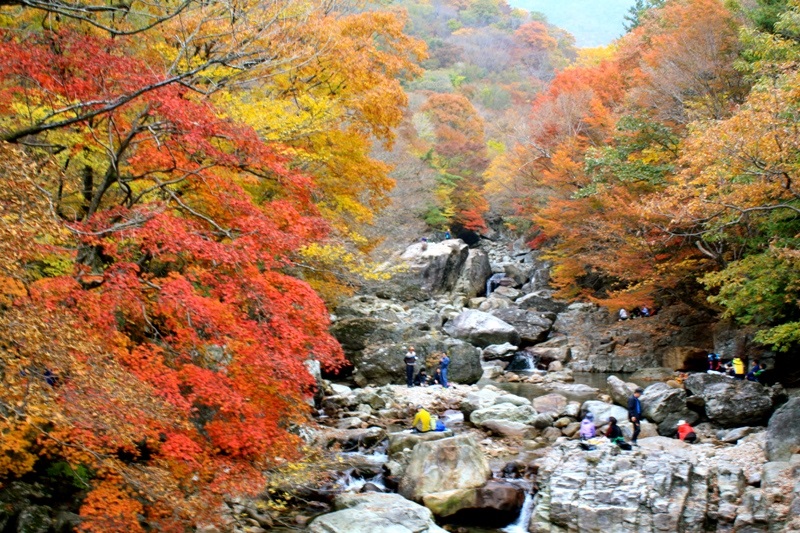 Tour tham quan DMZ Goseong ở  Gangwon-do và công viên quốc gia Seoraksan