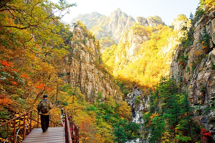 Tour tham quan DMZ Goseong ở  Gangwon-do và công viên quốc gia Seoraksan