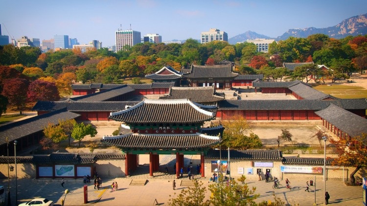 Tour đêm khám phá Changgyeong-gung, Chùa Jogyesa, Tháp N Seoul và ẩm thực chợ Gwangjang
