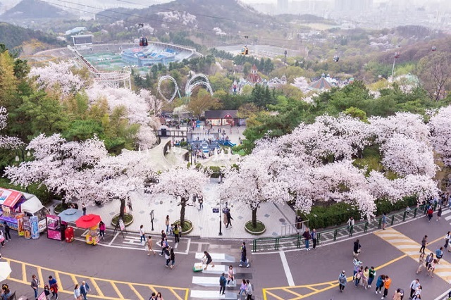 Công viên E-World, 83 Tower tại Daegu