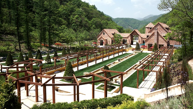 Thưởng thức khung cảnh Chuncheon tại Gubongsan Café Street, thăm Alpaca World và Jade Garden