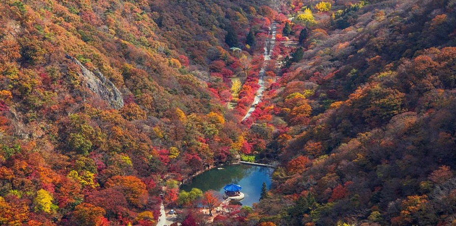 Thuê xe riêng tham quan núi Naejang từ Gwangju