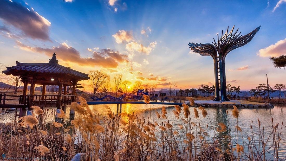 City Bus Tour tham quan Daegu 