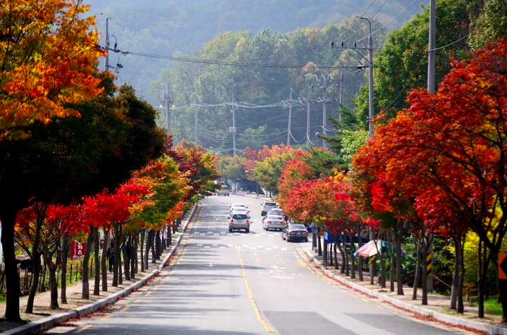 City Bus Tour tham quan Daegu 